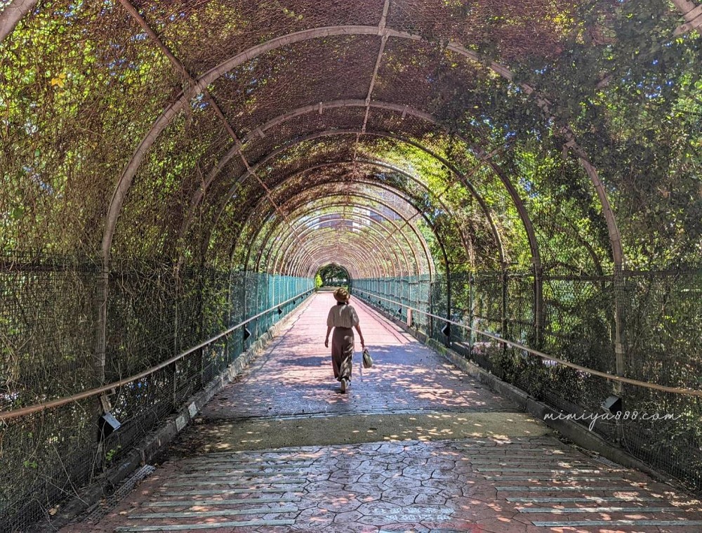 【桃園景點】大溪埔頂公園｜橫跨高速公路兩端的綠帶公園，滾輪溜滑梯、高空溜索超好玩