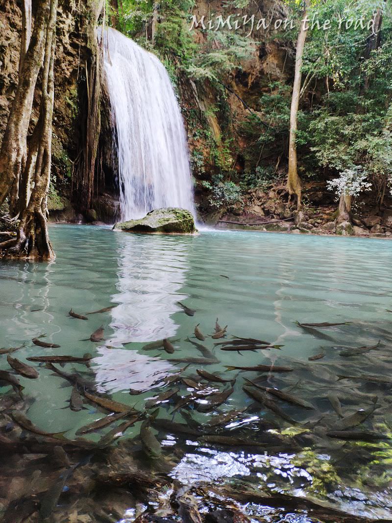 【泰國景點】伊拉旺國家公園（愛侶灣）七層瀑布 Erawan waterfall 交通攻略&健行筆記