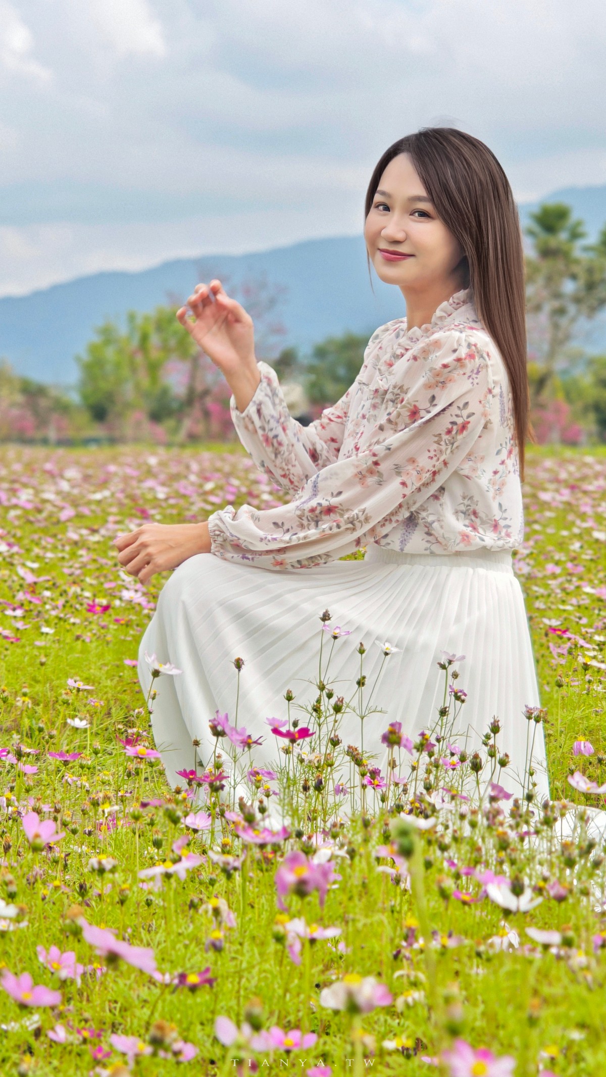 【崙埤櫻花公園】河濱公園八重櫻滿開隨意拍，搭配滿園波斯菊花海美不勝收
