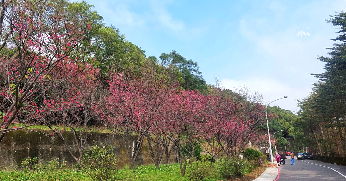 【桃園景點】壽山巖觀音寺｜來去百年古蹟觀音廟參拜，順遊秘境櫻花公園 @下一站，天涯