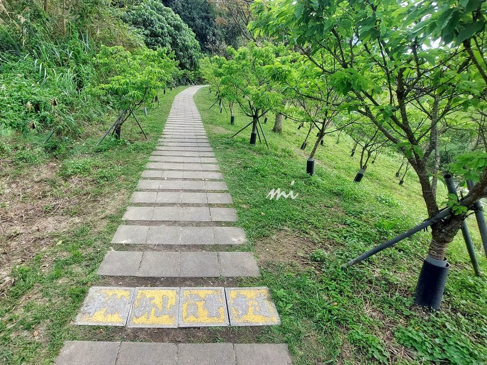 【台北景點】樂活公園｜每年1-3月最夯的溪畔櫻花步道，還能順遊內溝溪生態步道