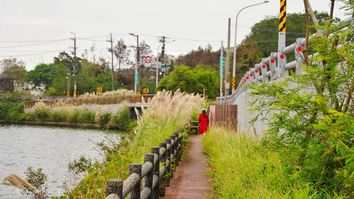 【霄裡大池落羽松林】連排落羽松與百年大埤塘相輝映，走一圈環池步道賞景只要15分鐘