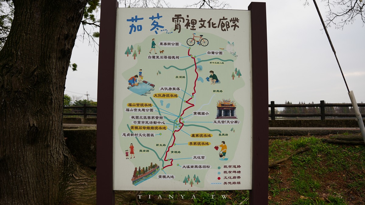 【霄裡大池落羽松林】連排落羽松與百年大埤塘相輝映，走一圈環池步道賞景只要15分鐘