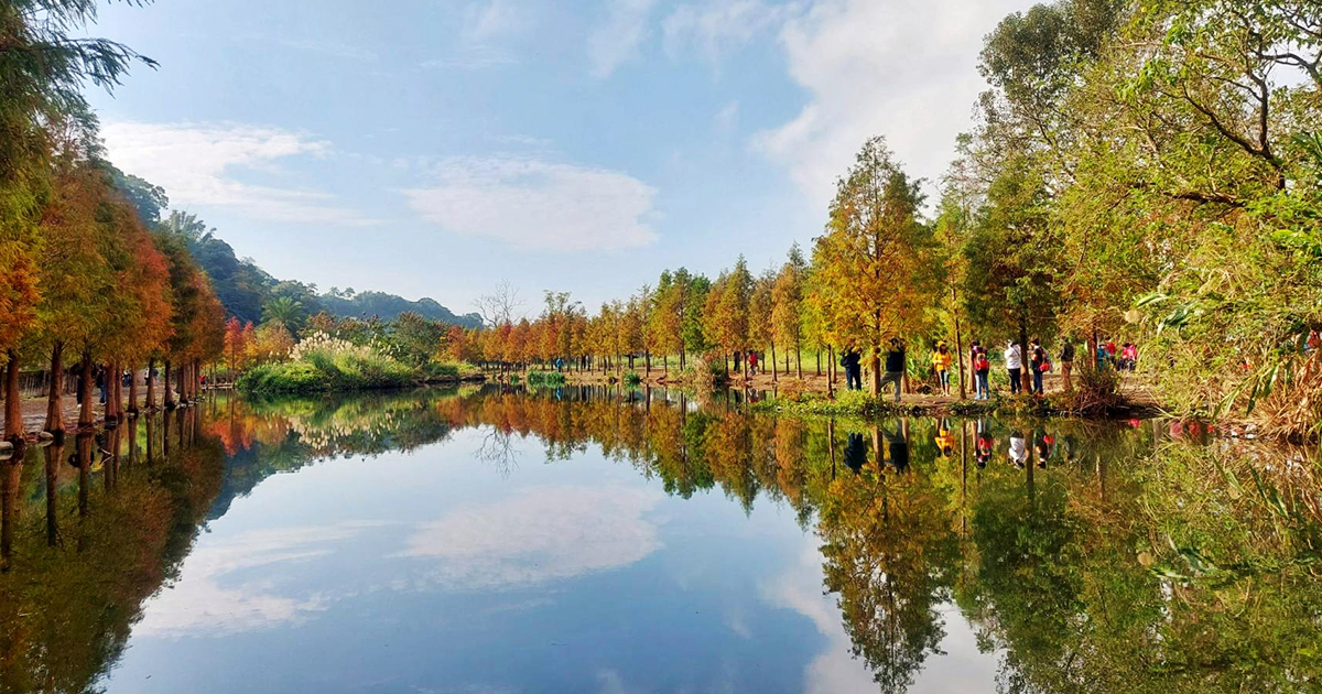 【桃園景點】月眉人工濕地生態公園｜沿著濕地水塘遍植350棵落羽松，藍天之下的水中倒影猶如印象派美畫 @下一站，天涯