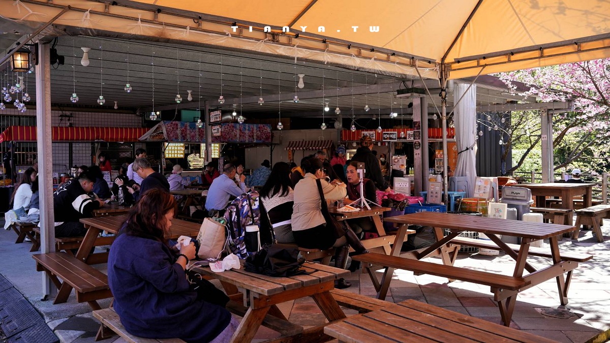 【三峽大熊櫻花林】超過4000株櫻花浪漫盛放，穿梭粉爆櫻花隧道，一秒抵達日本