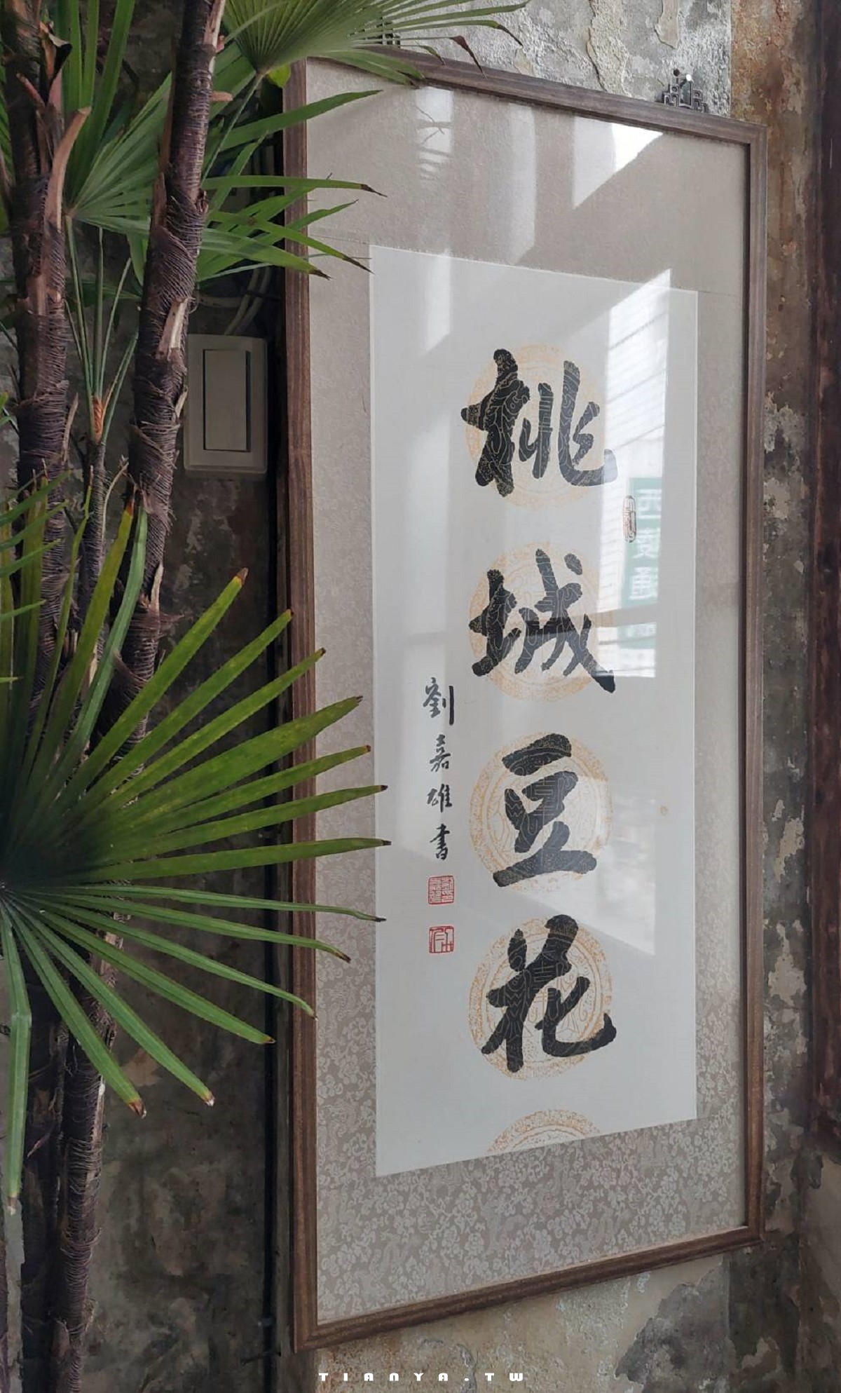 【嘉義美食】桃城豆花光華店｜廢棄老醫館變身復古老宅風文青豆花店，低消35元不限時待一天