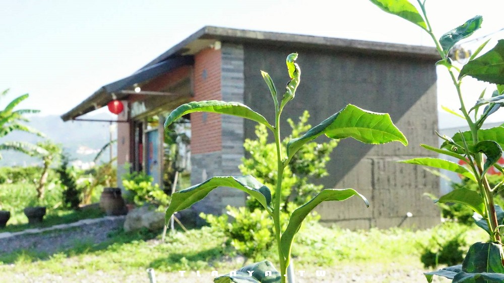 【新北名產】四季茶莊｜猶如普洱茶博物館的古厝茶行，在地經營30年，百年古樹普洱茶專賣店