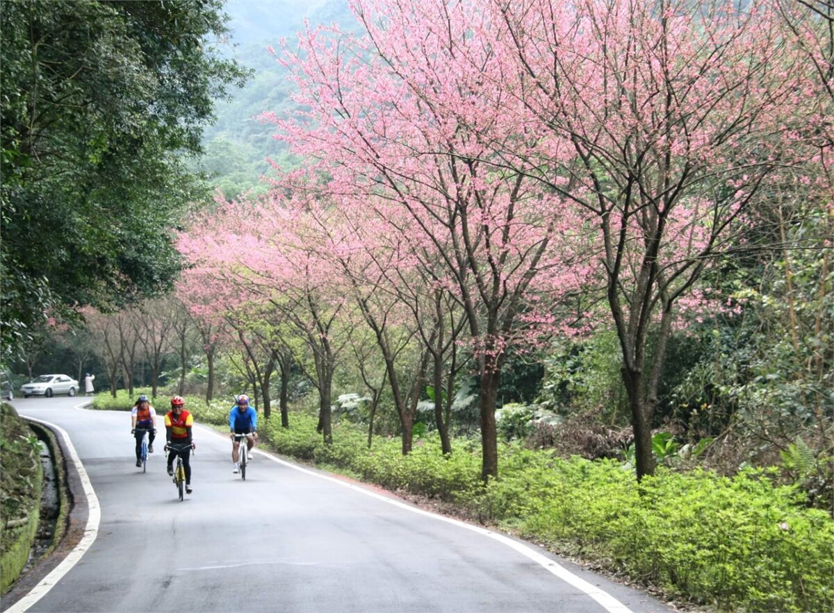 【新北懶人包】精選10個北海岸三芝人氣打卡景點、無敵海景餐廳、特色伴手禮一日遊提案