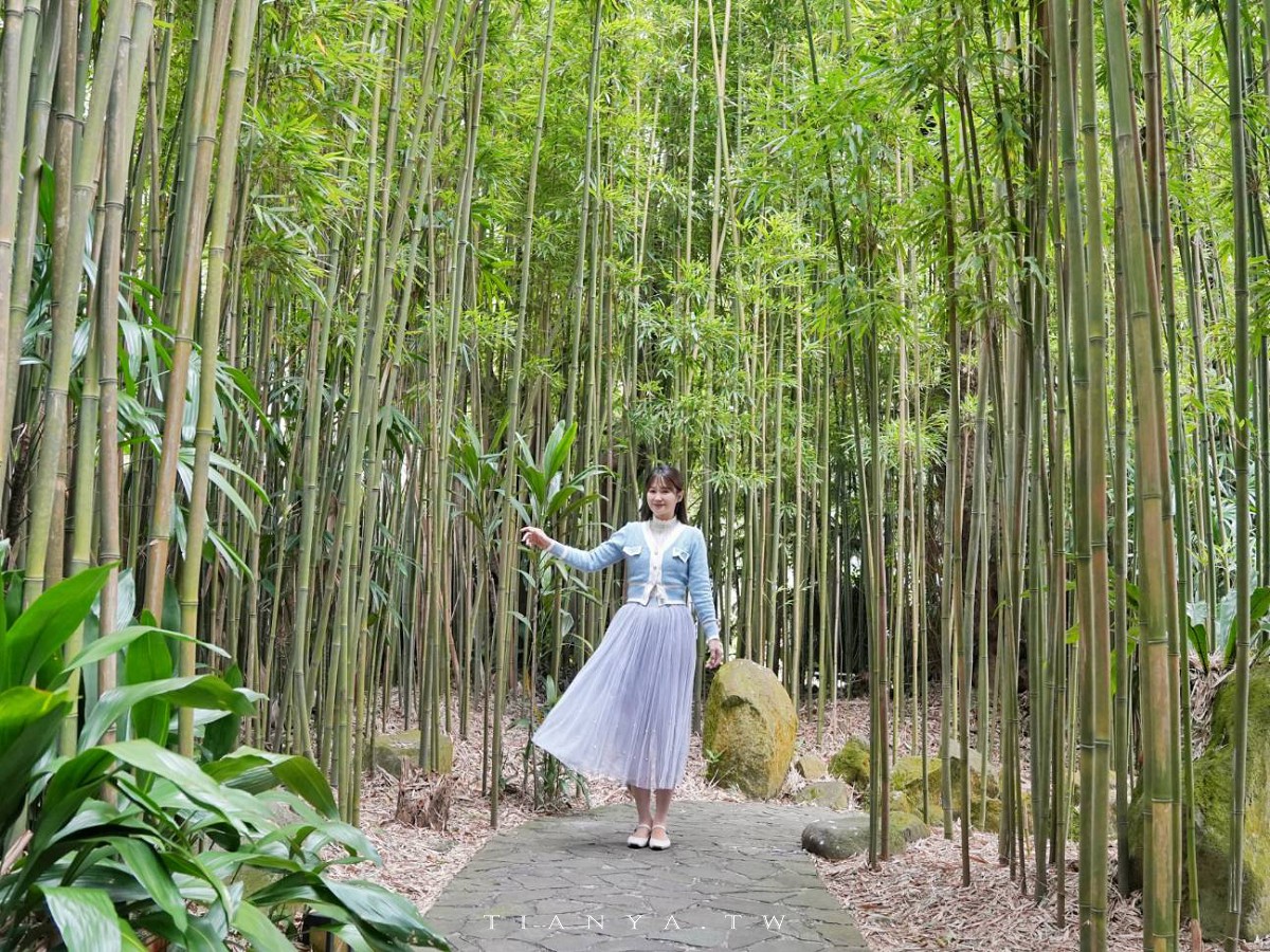 【豆留森林】秘境咖啡店隱藏在陽明山日式古蹟老宅裡，幽靜竹林環繞四周一秒抵達嵐山
