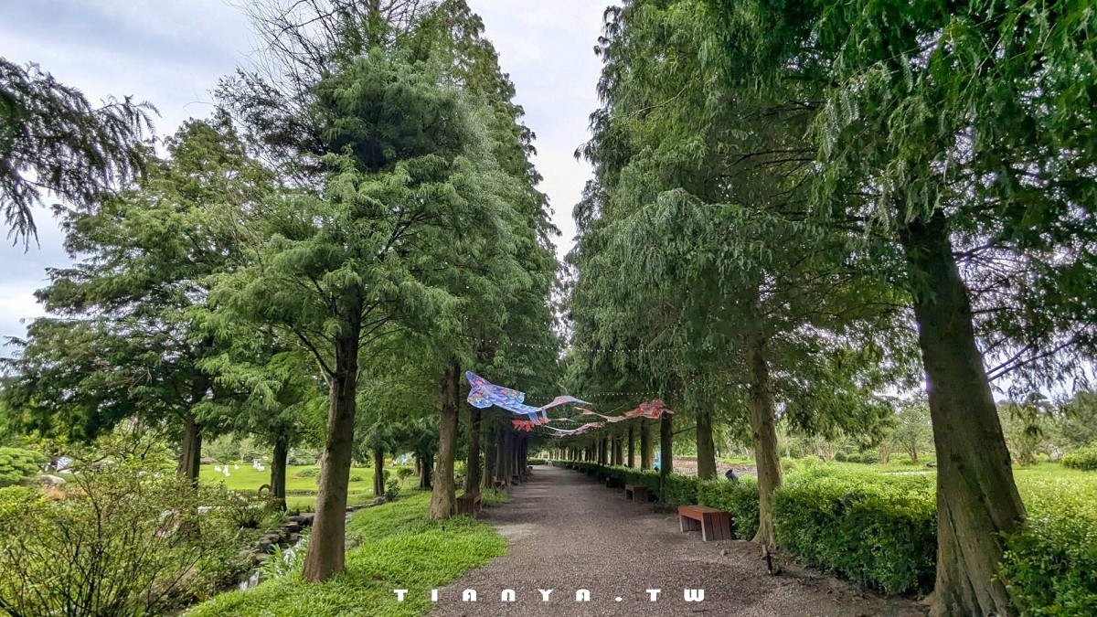 【彰化景點】成美文化園｜百年特色古厝結合日式禪風庭園，還是隱藏版落羽松秘境