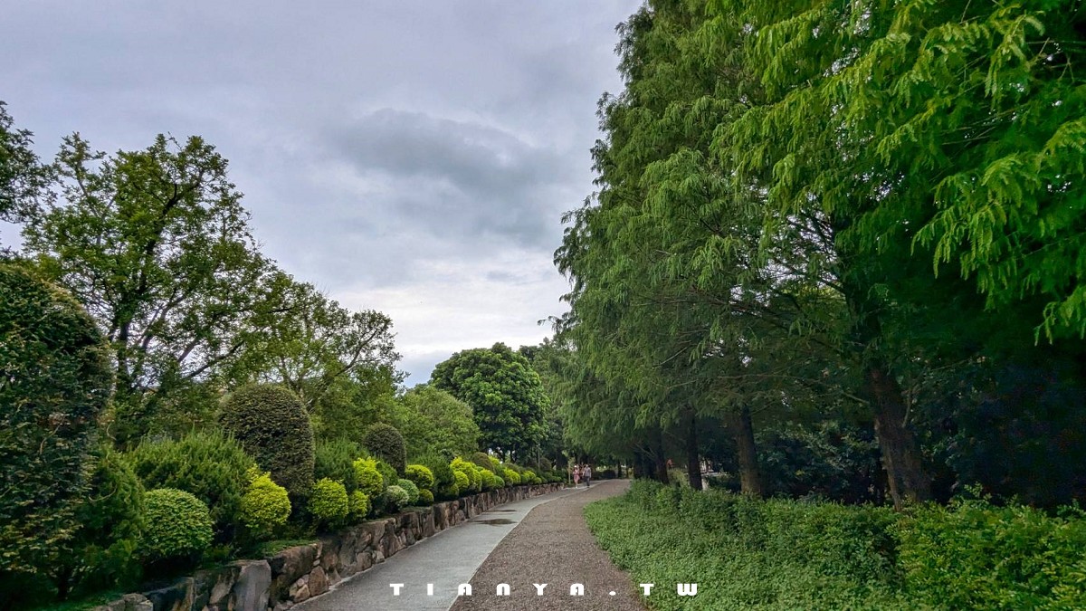 【彰化景點】成美文化園｜百年特色古厝結合日式禪風庭園，還是隱藏版落羽松秘境