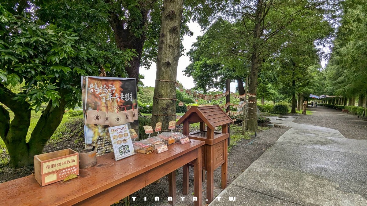 【彰化景點】成美文化園｜百年特色古厝結合日式禪風庭園，還是隱藏版落羽松秘境