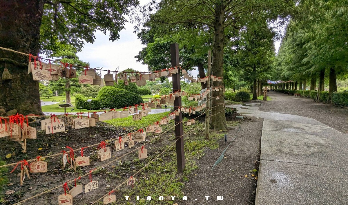 【彰化景點】成美文化園｜百年特色古厝結合日式禪風庭園，還是隱藏版落羽松秘境