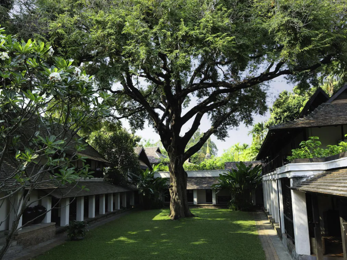 【清邁住宿】清邁自由行必看住宿攻略，3大住宿區域解析，12間人氣星級飯店．渡假村大推薦