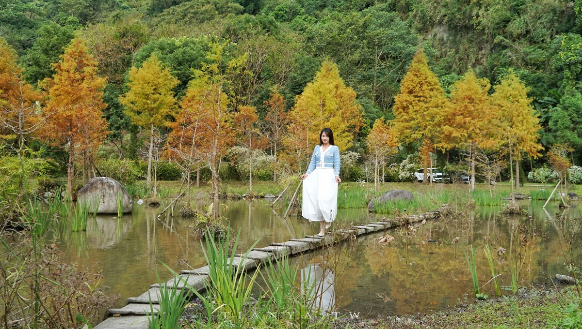 【台中景點】安妮公主花園｜全台首座「吉卜力木屋」進駐占地3公頃的山中秘境，園內廣植四季花卉，還可欣賞白雪木、落羽松