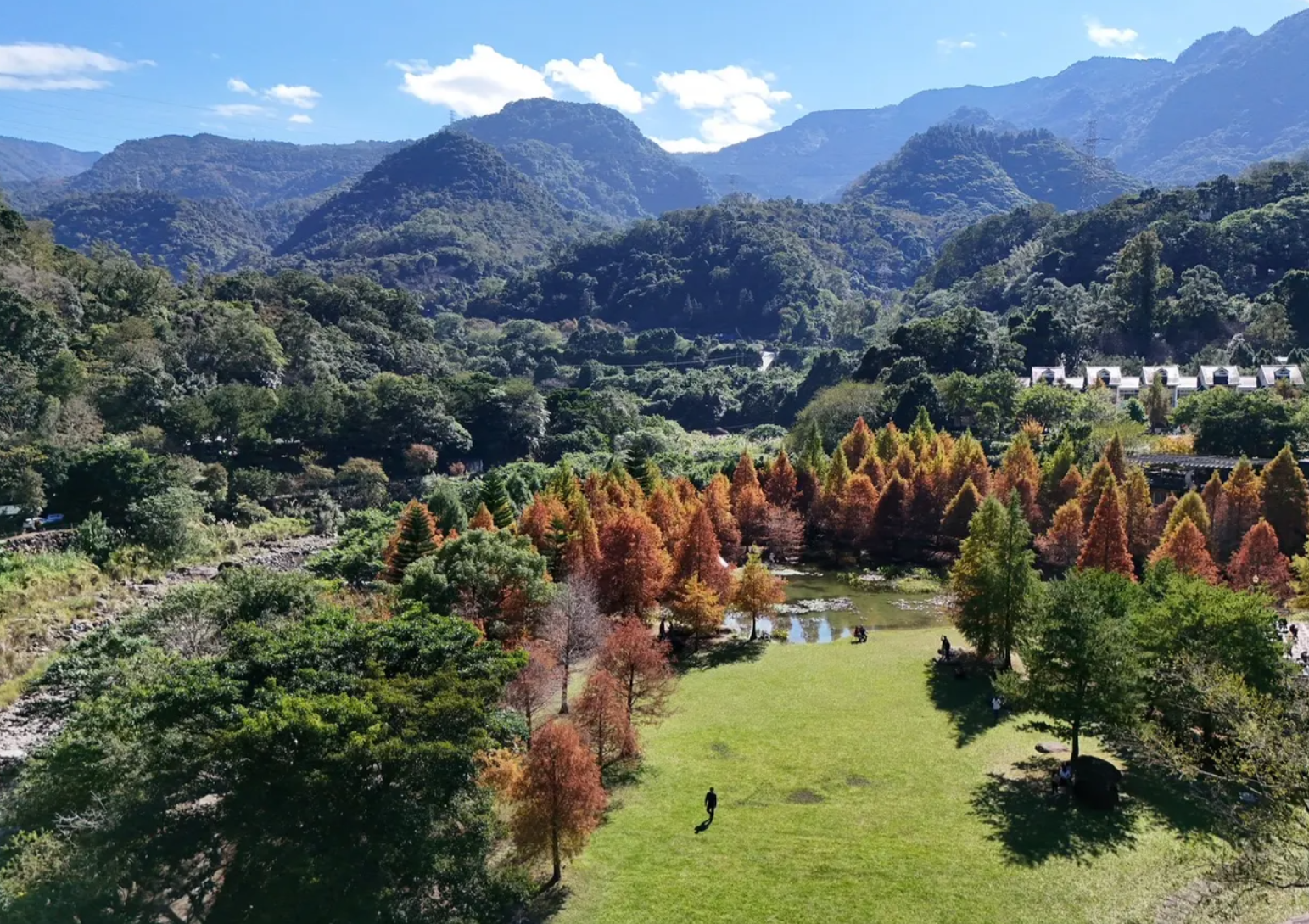 【景點懶人包】中部7大必訪落羽松景點特蒐！盤點苗栗、台中、彰化、南投、雲林絕美IG打卡熱點