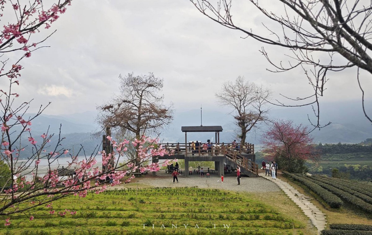 【玉蘭茶園】到山上茶園泡壺茶,居高臨下飽覽蘭陽風光的私房秘境 【玉蘭茶園】到山上茶園泡壺茶,居高臨下飽覽蘭陽風光的私房秘境