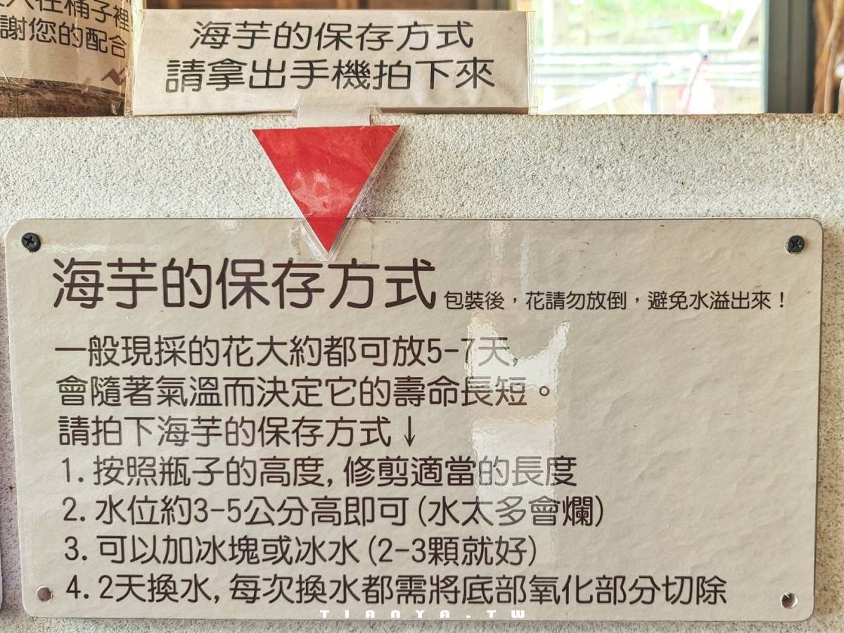 【名陽匍休閒農莊】竹子湖最美海芋園,仙氣爆棚的森林小屋和鞦韆隨手拍就是唯美風明信片,門票可換海芋花束 【名陽匍休閒農莊】竹子湖最美海芋園,仙氣爆棚的森林小屋和鞦韆隨手拍就是唯美風明信片,門票可換海芋花束