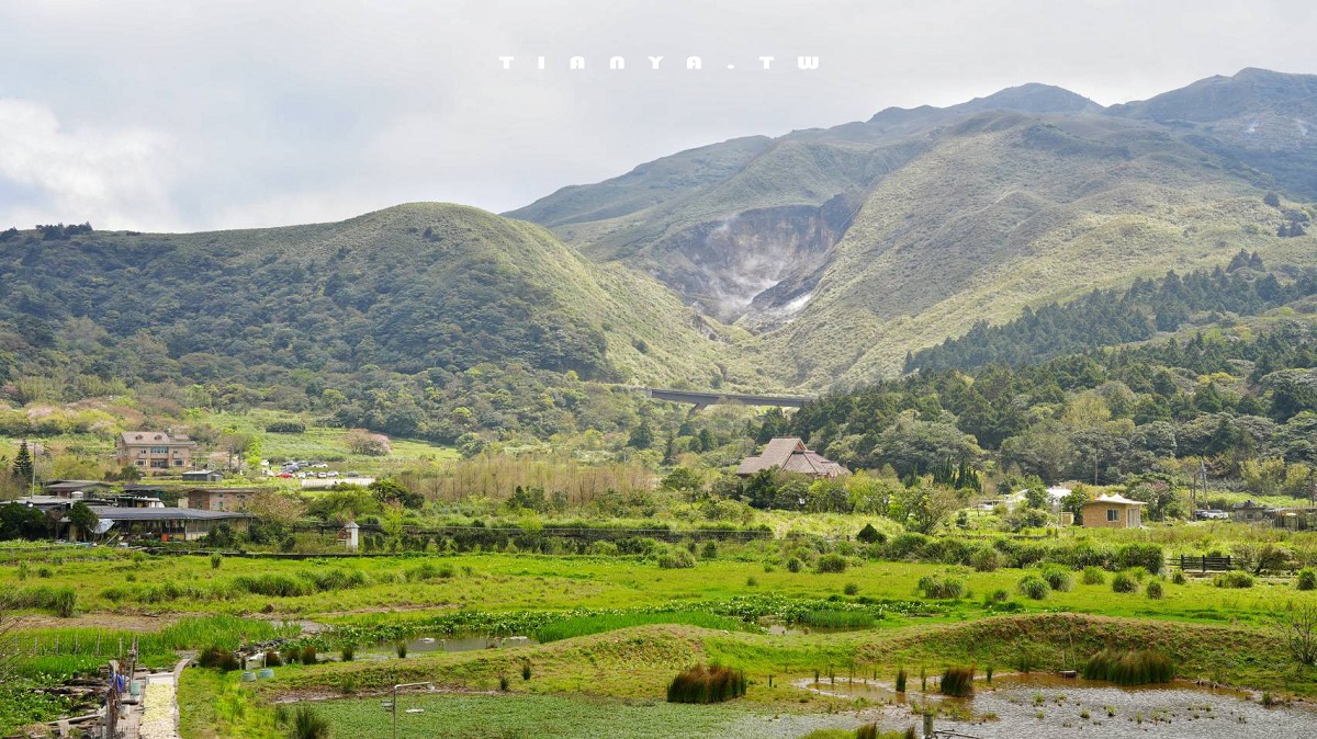 【名陽匍休閒農莊】竹子湖最美海芋園,仙氣爆棚的森林小屋和鞦韆隨手拍就是唯美風明信片,門票可換海芋花束 【名陽匍休閒農莊】竹子湖最美海芋園,仙氣爆棚的森林小屋和鞦韆隨手拍就是唯美風明信片,門票可換海芋花束