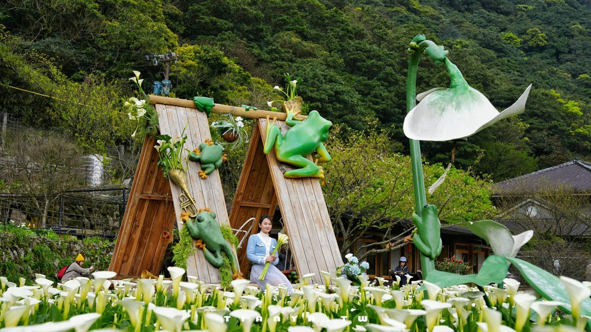 【名陽匍休閒農莊】竹子湖最美海芋園,仙氣爆棚的森林小屋和鞦韆隨手拍就是唯美風明信片,門票可換海芋花束 【名陽匍休閒農莊】竹子湖最美海芋園,仙氣爆棚的森林小屋和鞦韆隨手拍就是唯美風明信片,門票可換海芋花束
