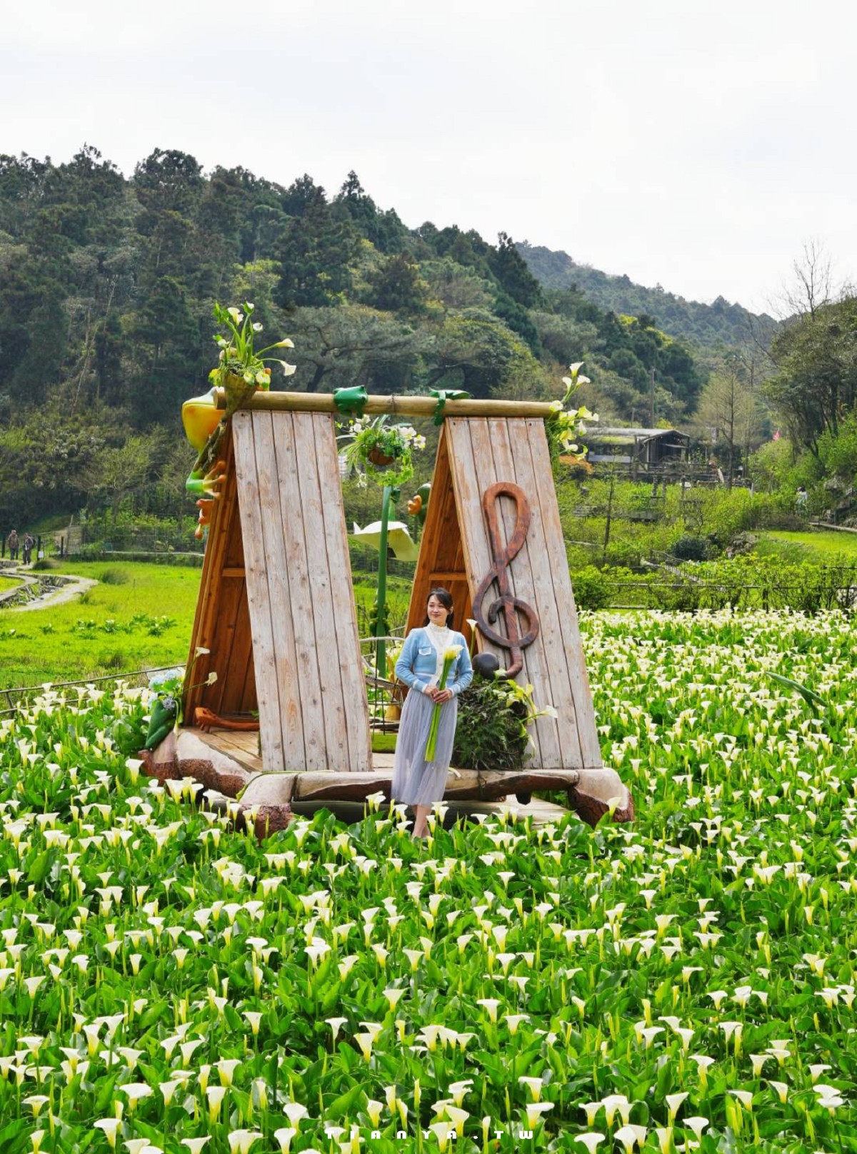 【名陽匍休閒農莊】竹子湖最美海芋園,仙氣爆棚的森林小屋和鞦韆隨手拍就是唯美風明信片,門票可換海芋花束 【名陽匍休閒農莊】竹子湖最美海芋園,仙氣爆棚的森林小屋和鞦韆隨手拍就是唯美風明信片,門票可換海芋花束