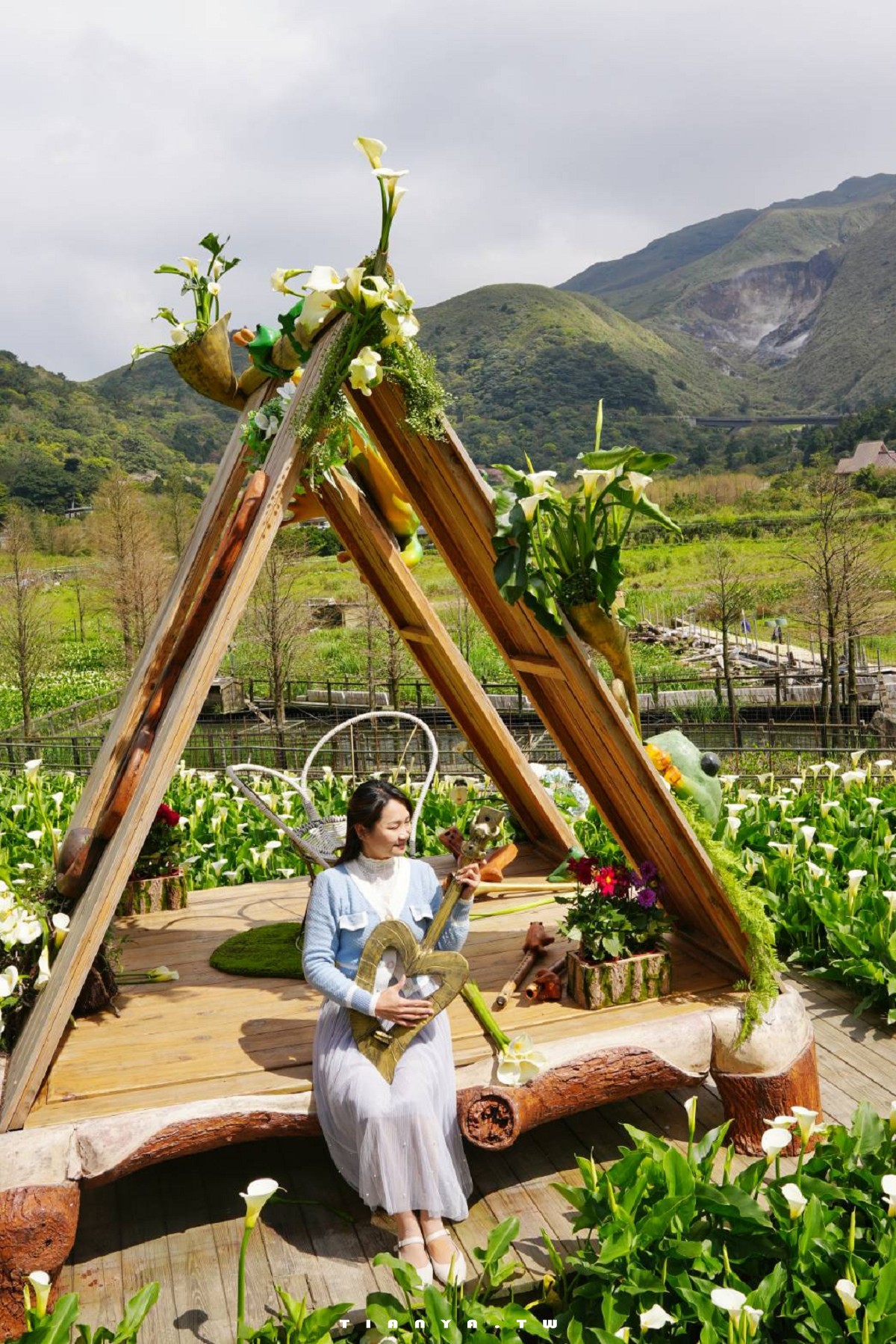 【名陽匍休閒農莊】竹子湖最美海芋園,仙氣爆棚的森林小屋和鞦韆隨手拍就是唯美風明信片,門票可換海芋花束 【名陽匍休閒農莊】竹子湖最美海芋園,仙氣爆棚的森林小屋和鞦韆隨手拍就是唯美風明信片,門票可換海芋花束