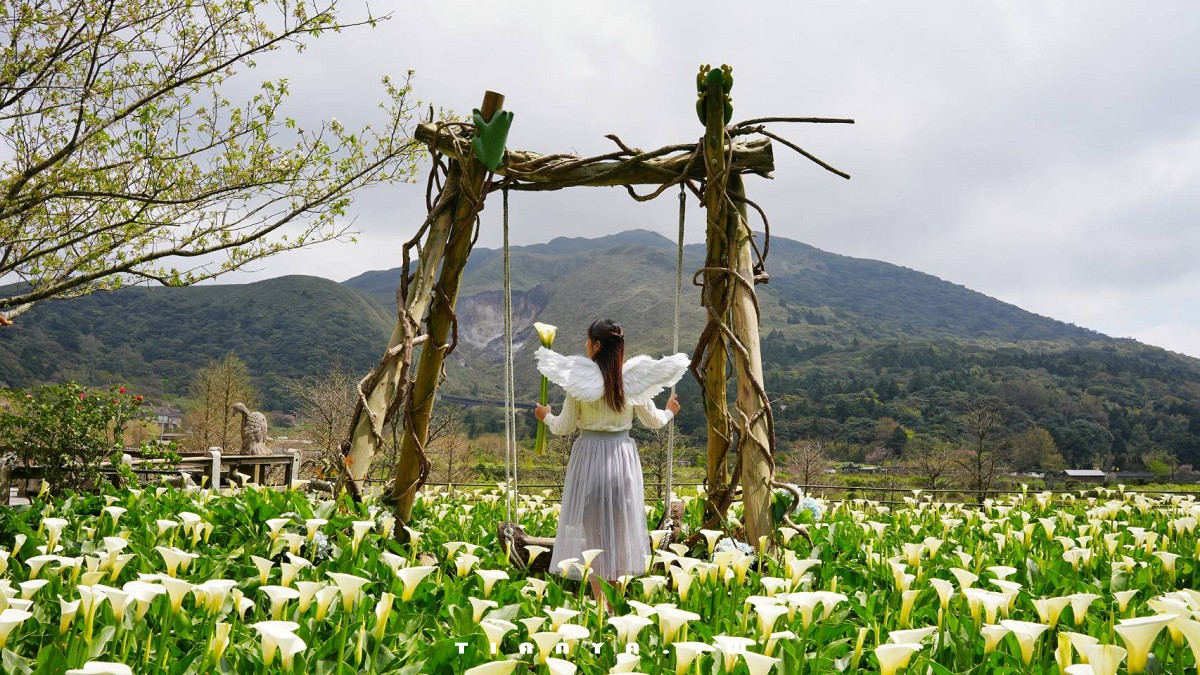 【名陽匍休閒農莊】竹子湖最美海芋園,仙氣爆棚的森林小屋和鞦韆隨手拍就是唯美風明信片,門票可換海芋花束 【名陽匍休閒農莊】竹子湖最美海芋園,仙氣爆棚的森林小屋和鞦韆隨手拍就是唯美風明信片,門票可換海芋花束
