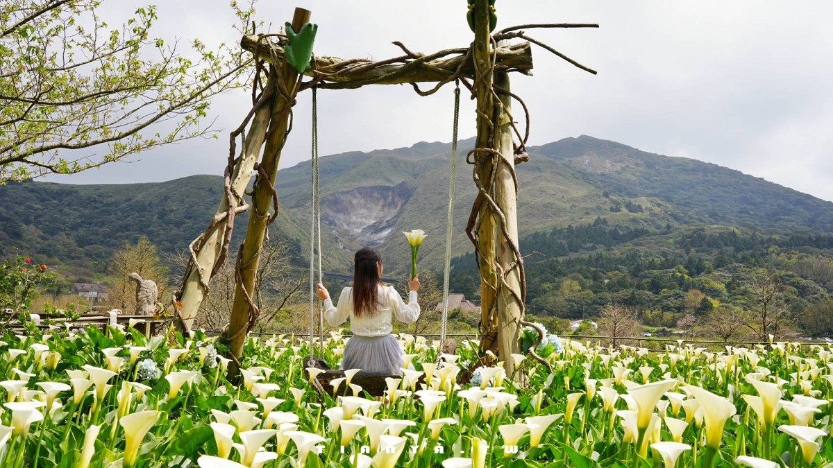 【名陽匍休閒農莊】竹子湖最美海芋園,仙氣爆棚的森林小屋和鞦韆隨手拍就是唯美風明信片,門票可換海芋花束 【名陽匍休閒農莊】竹子湖最美海芋園,仙氣爆棚的森林小屋和鞦韆隨手拍就是唯美風明信片,門票可換海芋花束