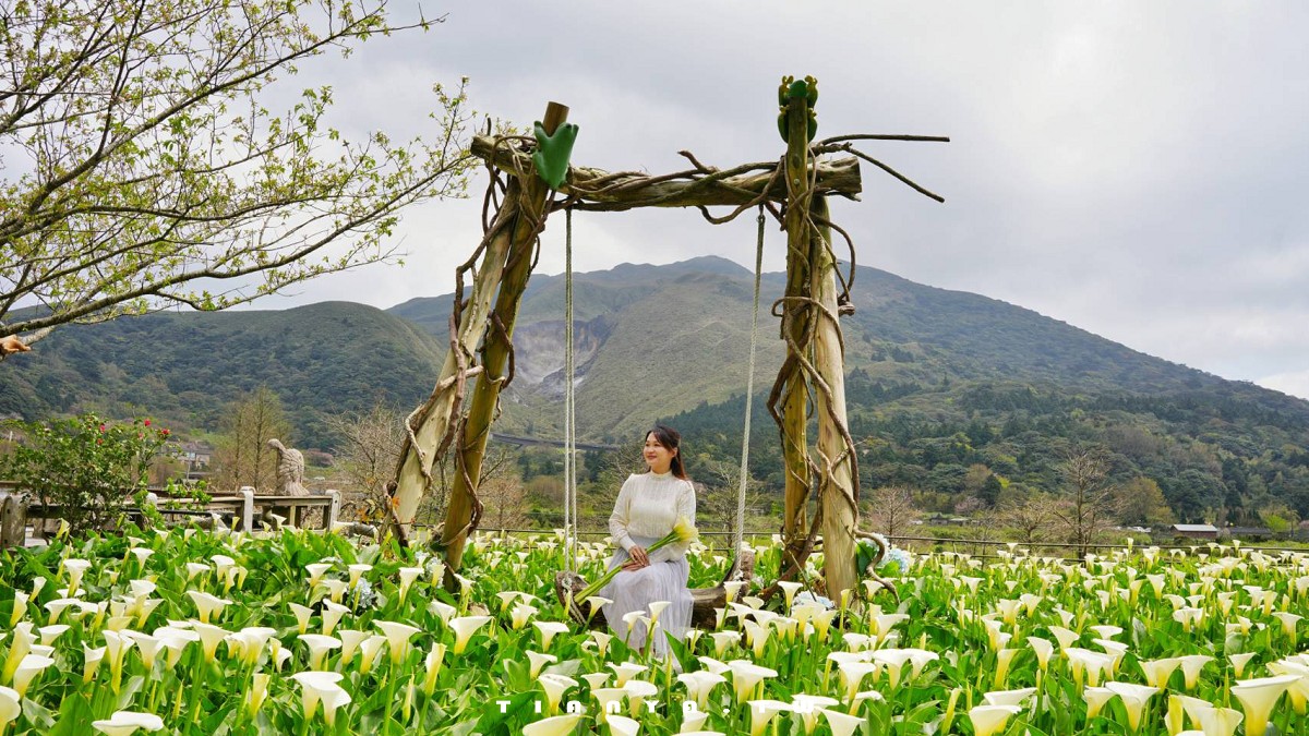 【名陽匍休閒農莊】竹子湖最美海芋園,仙氣爆棚的森林小屋和鞦韆隨手拍就是唯美風明信片,門票可換海芋花束 【名陽匍休閒農莊】竹子湖最美海芋園,仙氣爆棚的森林小屋和鞦韆隨手拍就是唯美風明信片,門票可換海芋花束