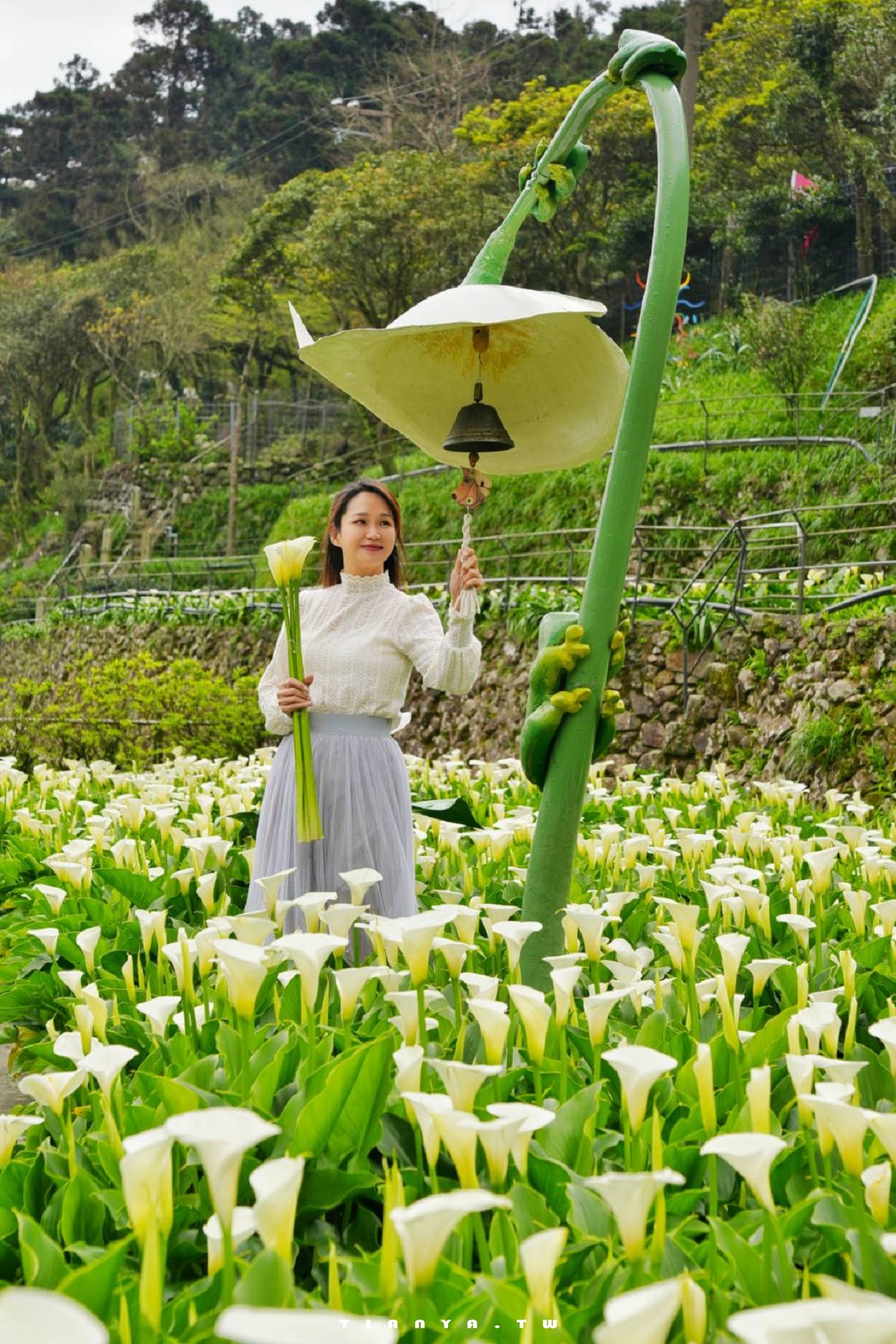 【名陽匍休閒農莊】竹子湖最美海芋園,仙氣爆棚的森林小屋和鞦韆隨手拍就是唯美風明信片,門票可換海芋花束 【名陽匍休閒農莊】竹子湖最美海芋園,仙氣爆棚的森林小屋和鞦韆隨手拍就是唯美風明信片,門票可換海芋花束