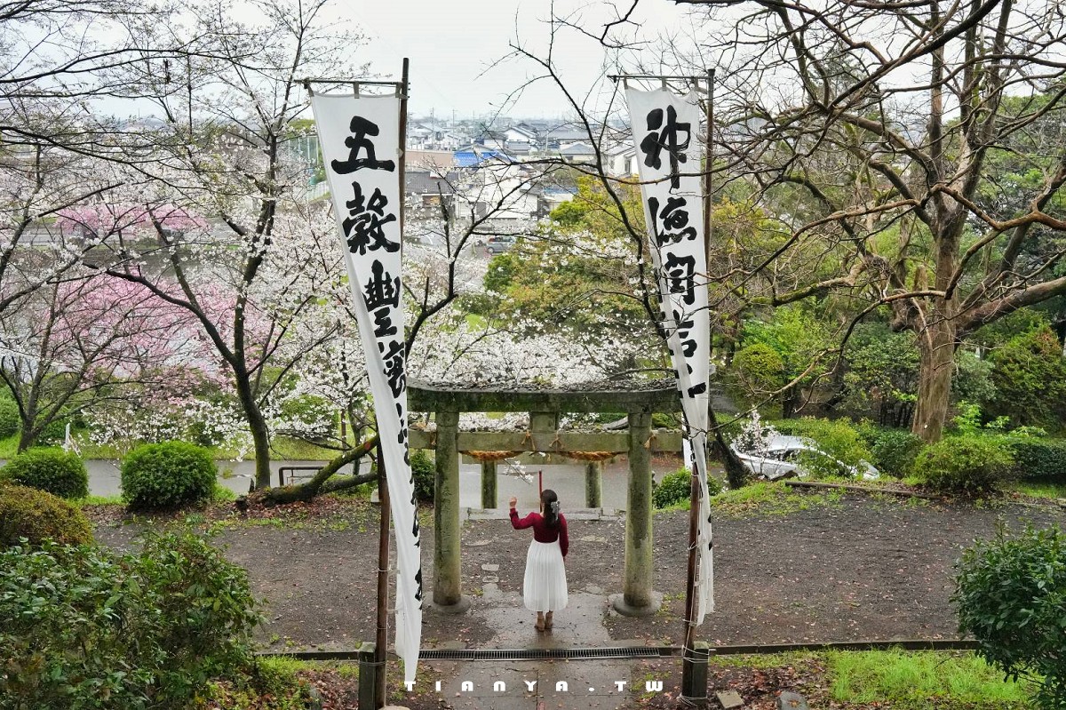 【佐賀小城公園】日本櫻花名所百選之一，九州必訪賞櫻勝地，春季3000株染井吉野櫻齊盛放