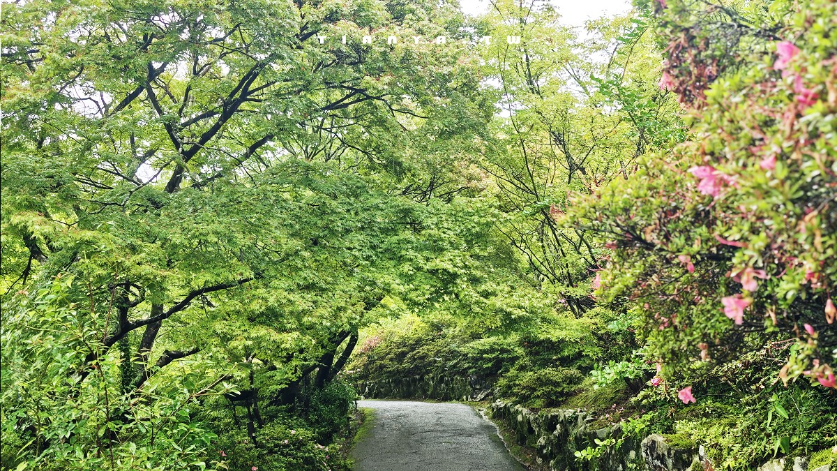 台灣虎航直飛佐賀好方便，御船山樂園、武雄溫泉物產館、佐賀牛美饌一日輕鬆遊