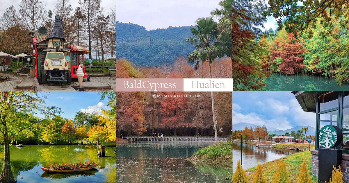 延伸閱讀:冬遊花蓮最是時候!4處必遊絕美落羽松景點全收錄 延伸閱讀:冬遊花蓮最是時候!4處必遊絕美落羽松景點全收錄