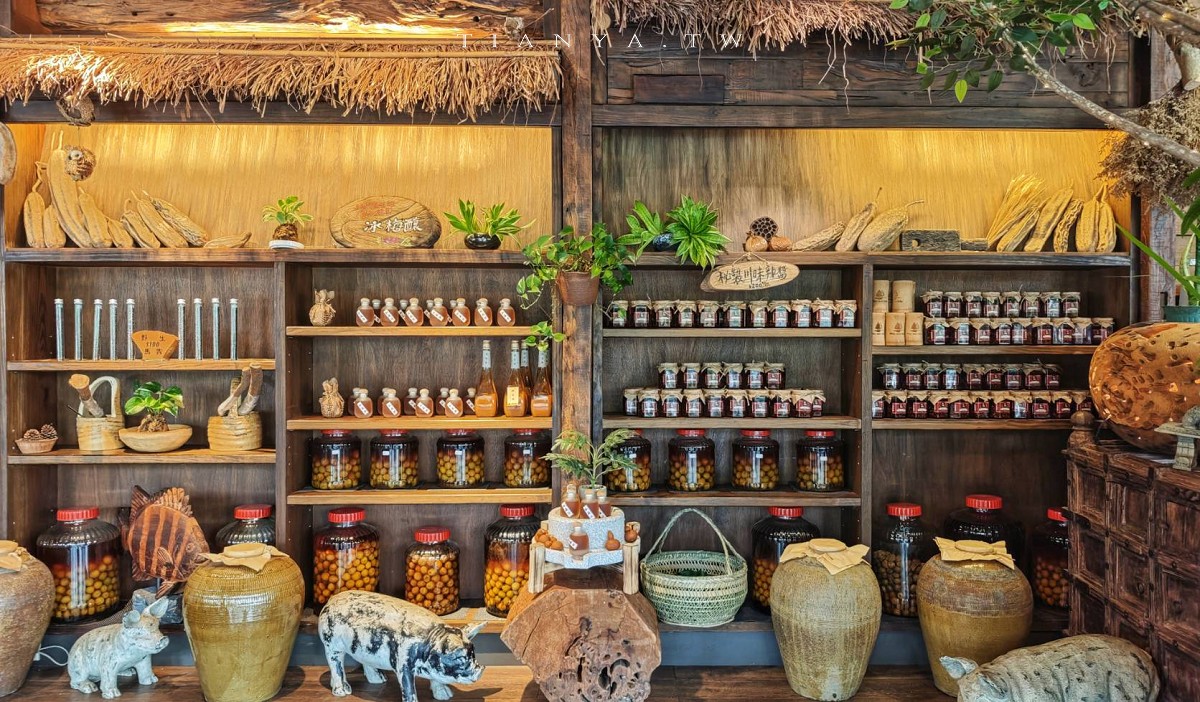 【松湖驛站】台九線秘境！烤雞餐廳後院竟然隱藏絕美落羽松水漾森林