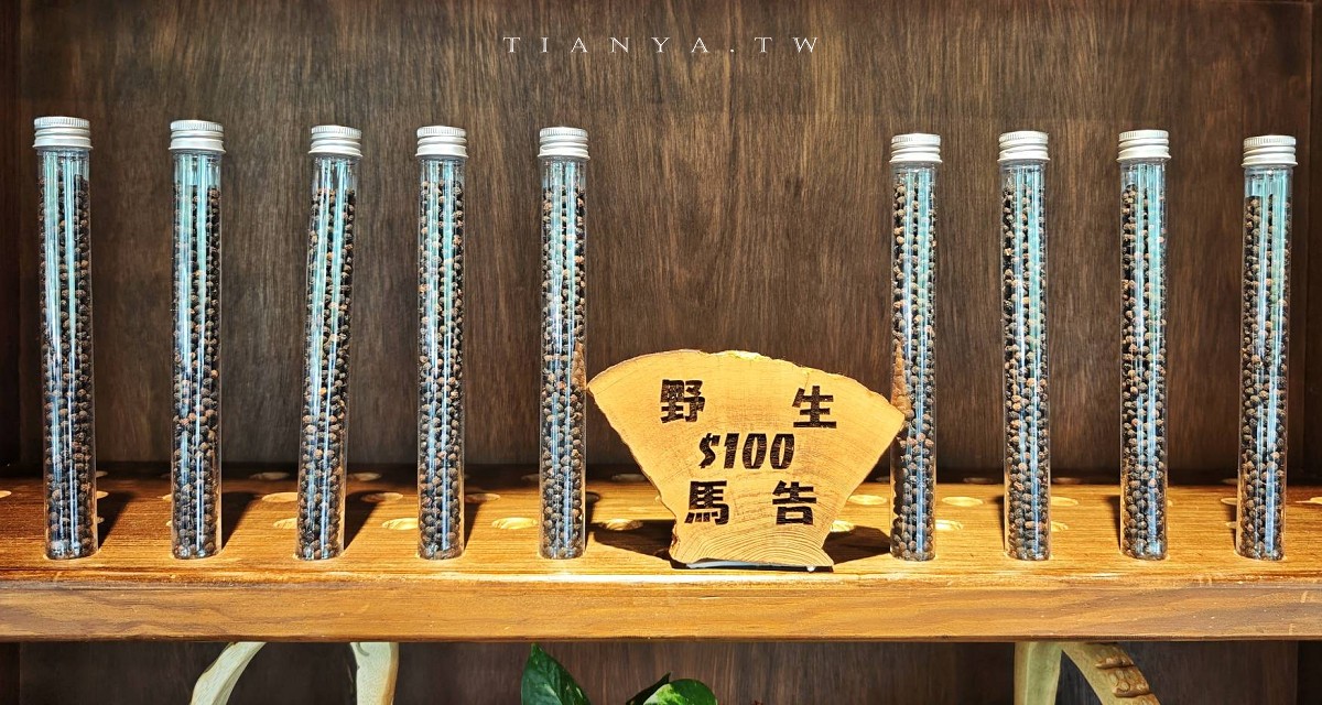 【松湖驛站】台九線秘境！烤雞餐廳後院竟然隱藏絕美落羽松水漾森林