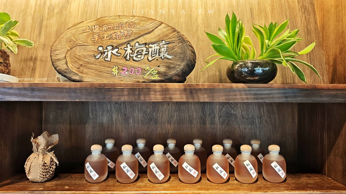 【松湖驛站】台九線秘境！烤雞餐廳後院竟然隱藏絕美落羽松水漾森林