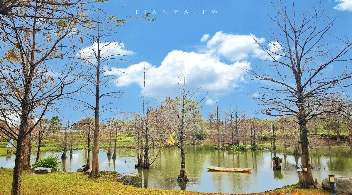 【松湖驛站】台九線秘境！烤雞餐廳後院竟然隱藏絕美落羽松水漾森林