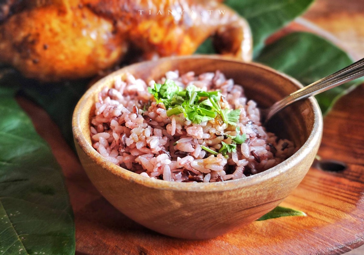 【松湖驛站】台九線秘境！烤雞餐廳後院竟然隱藏絕美落羽松水漾森林