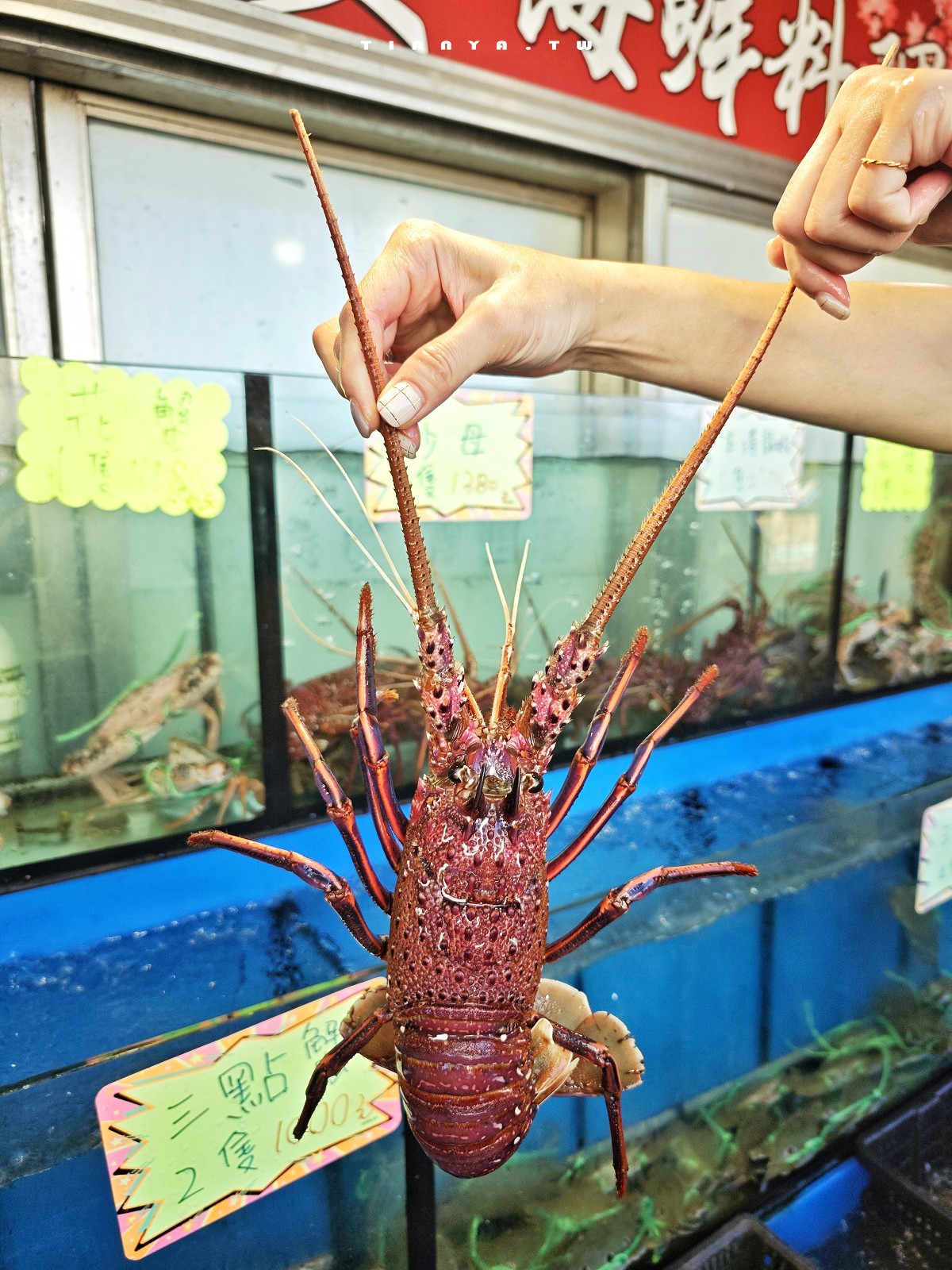 【鮮滿樓海鮮料理】萬里野柳尚青海產，漁船直上餐桌，高檔海鮮平價消費