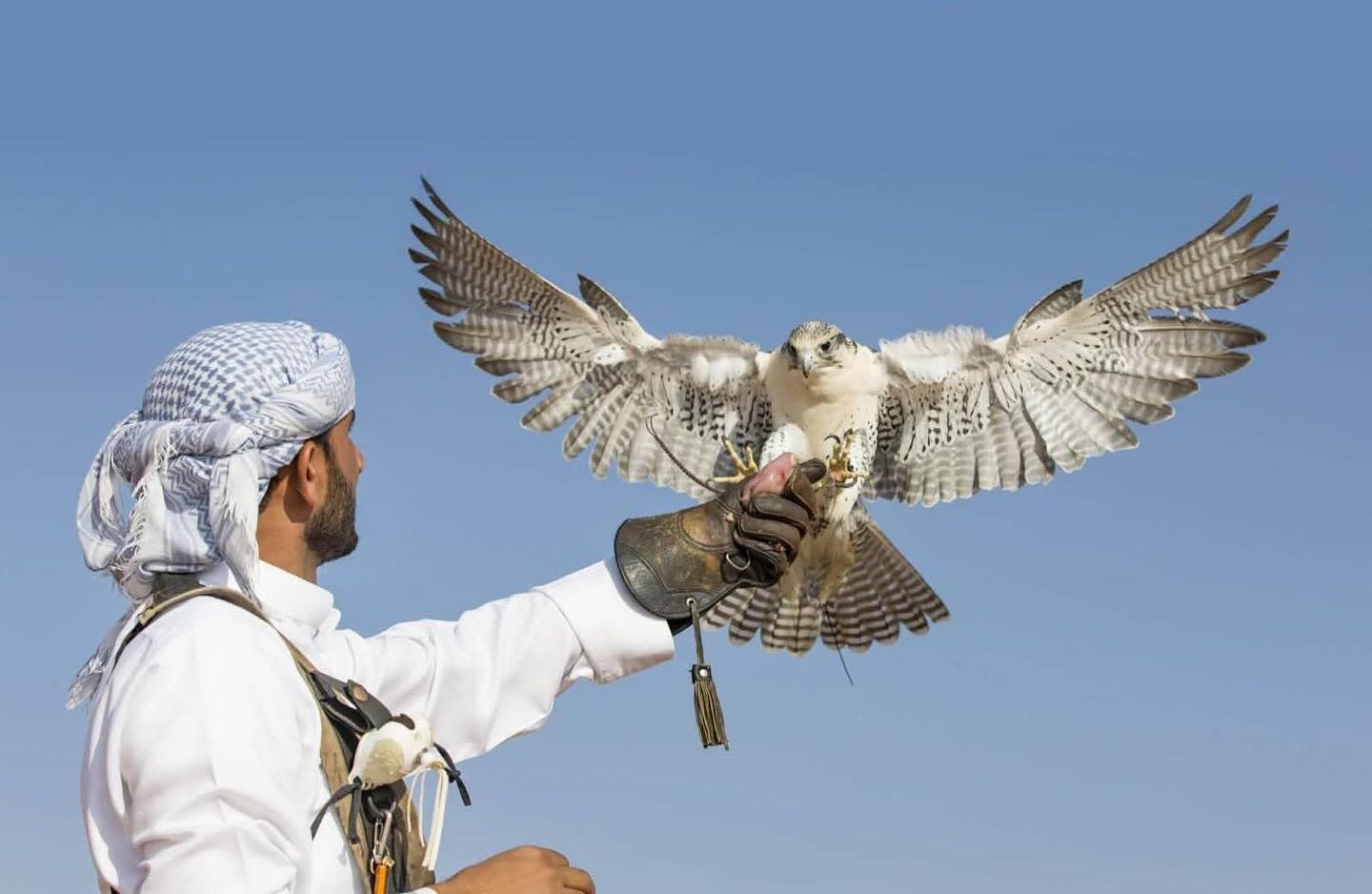 【阿布達比總統府】雄偉壯觀的國家宮殿，阿聯酋文化與政治地標，參觀資訊、必看重點總整理