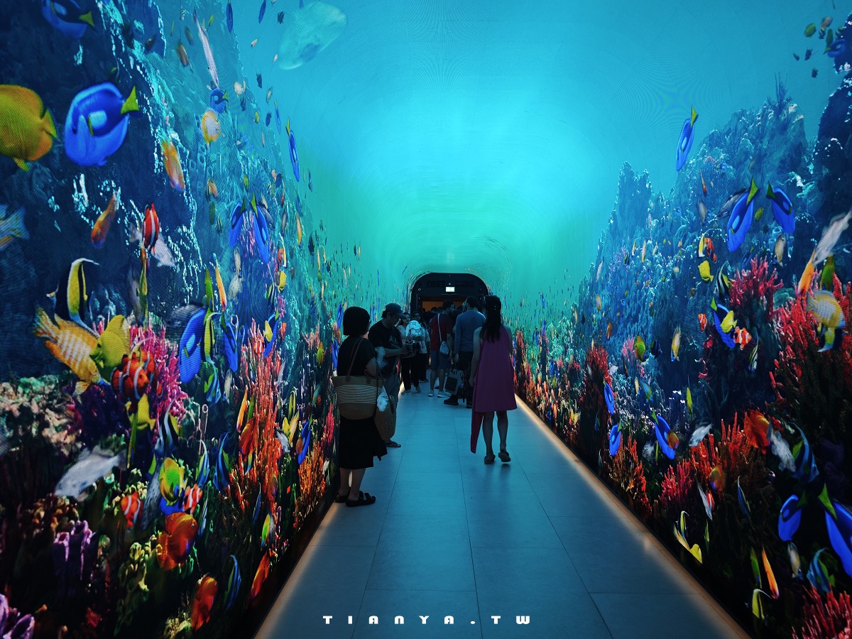 【棕櫚塔觀景台】360度環景高空眺望朱美拉棕櫚島無敵景觀，帆船酒店、波斯灣海景盡收眼底