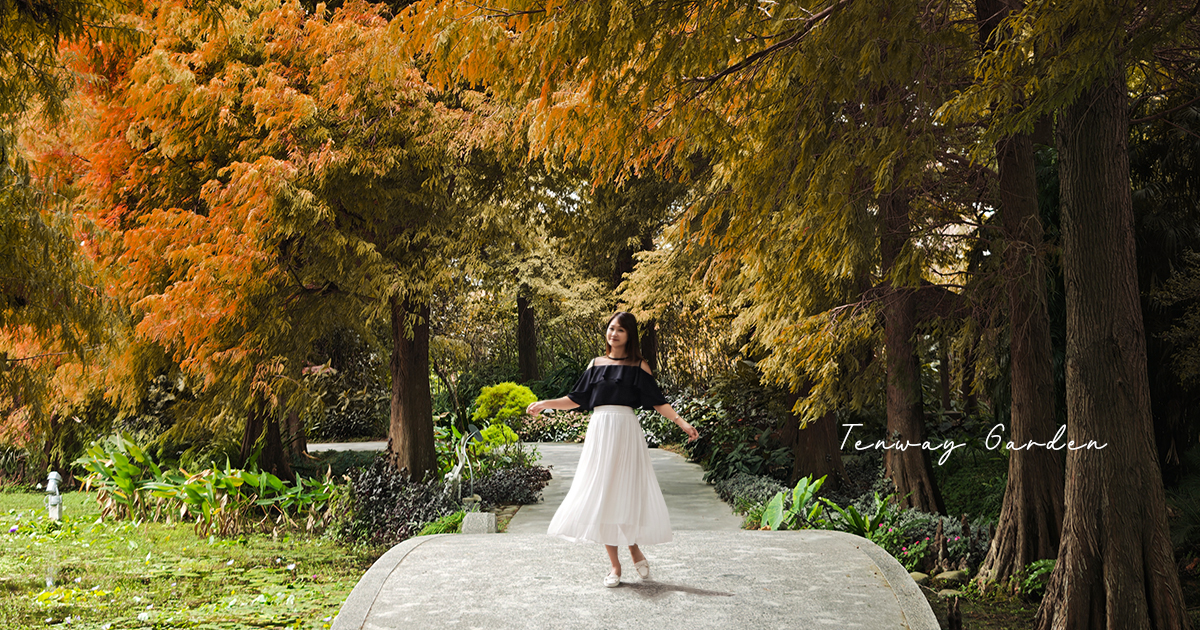 【菁芳園】隱身小巷裡的落羽松景觀餐廳，在溫室玻璃屋享用美味的手做健康料理 @下一站，天涯
