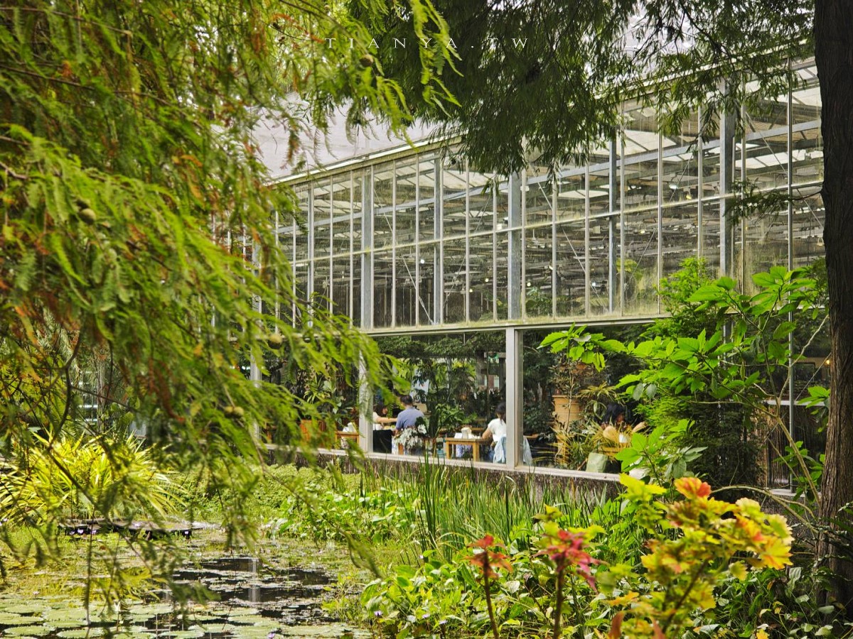 【菁芳園】隱身小巷裡的落羽松景觀餐廳，在溫室玻璃屋享用美味的手做健康料理