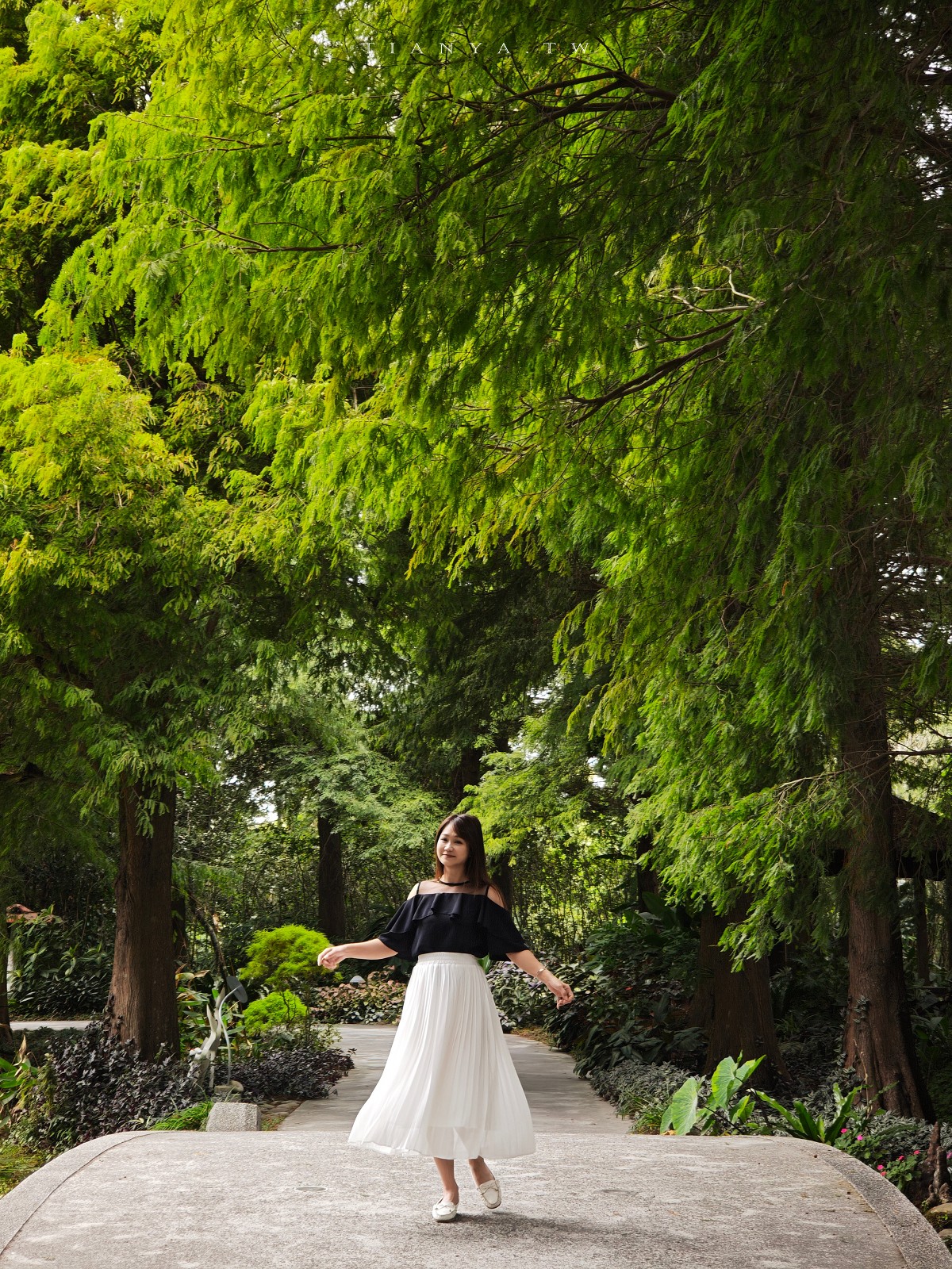 【菁芳園】隱身小巷裡的落羽松景觀餐廳，在溫室玻璃屋享用美味的手做健康料理