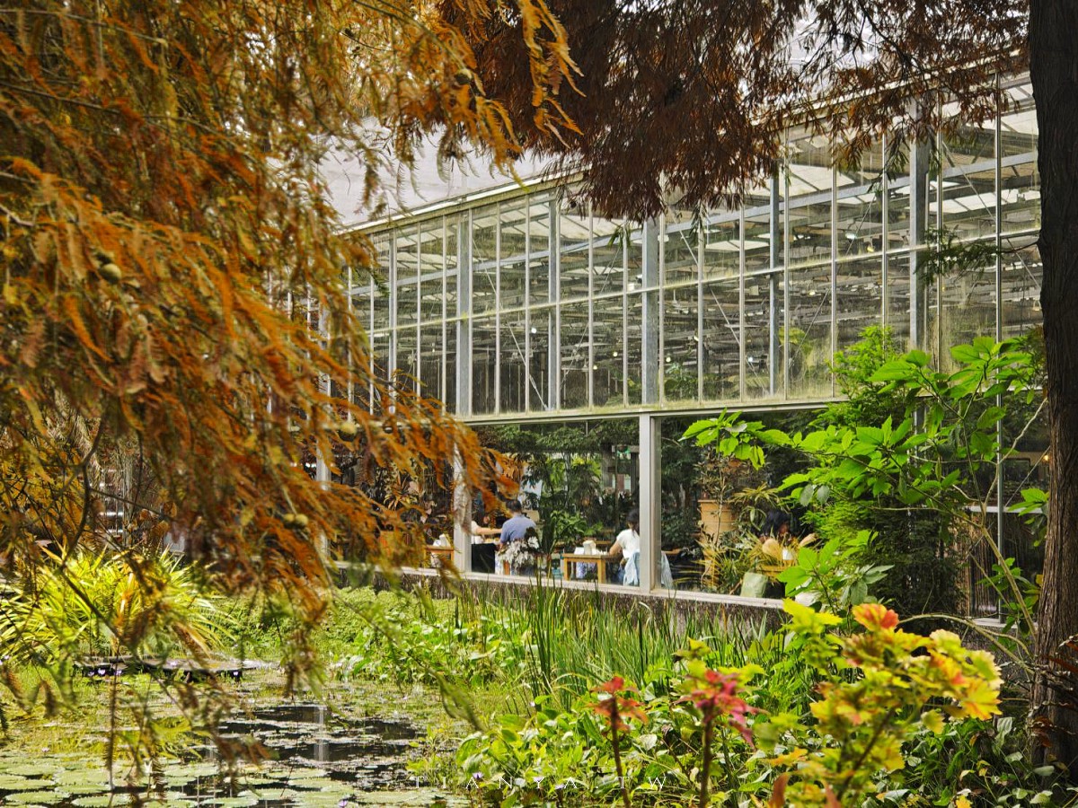 【菁芳園】隱身小巷裡的落羽松景觀餐廳，在溫室玻璃屋享用美味的手做健康料理