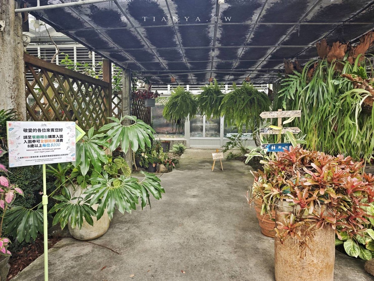 【菁芳園】隱身小巷裡的落羽松景觀餐廳，在溫室玻璃屋享用美味的手做健康料理