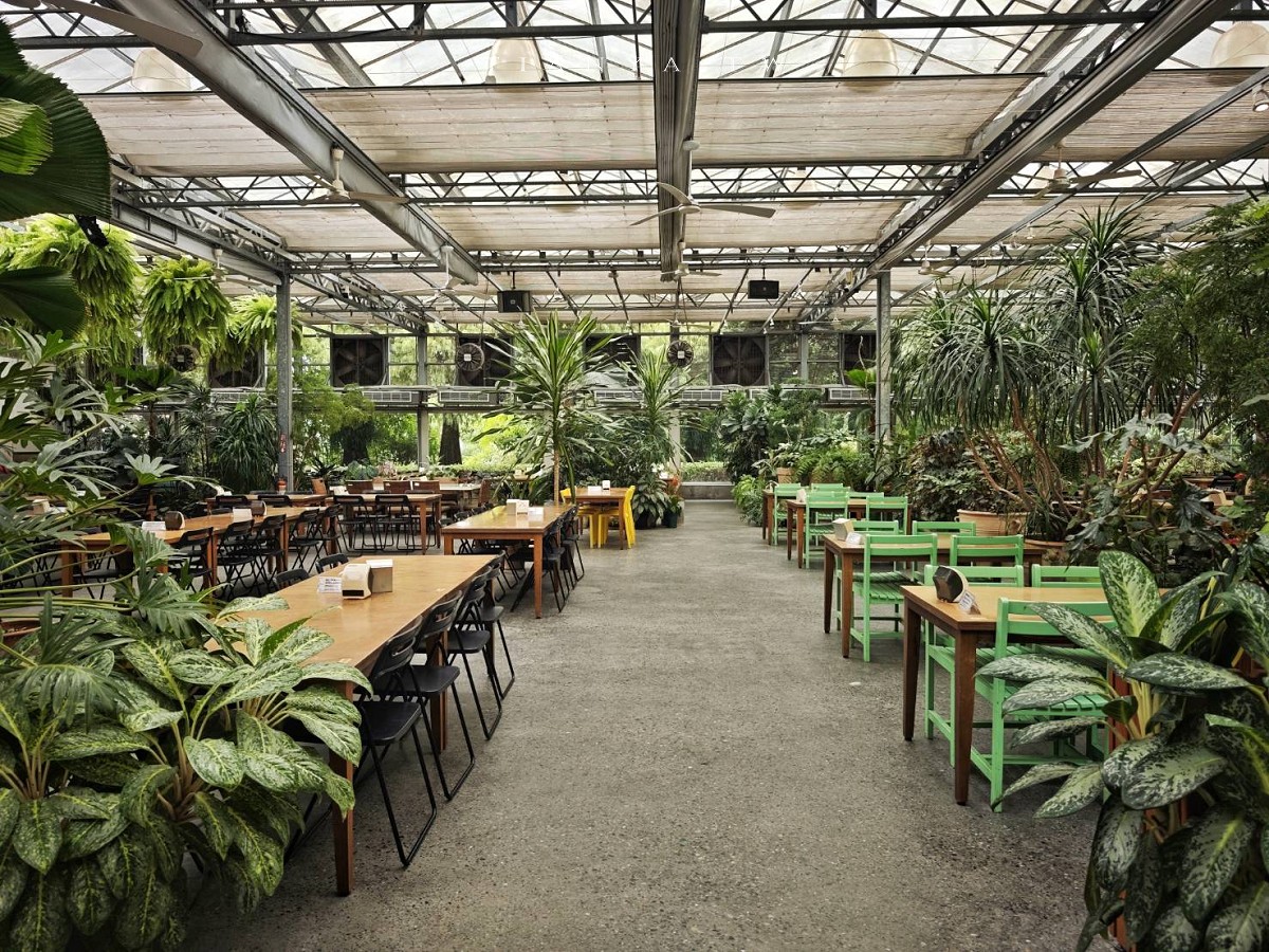 【菁芳園】隱身小巷裡的落羽松景觀餐廳，在溫室玻璃屋享用美味的手做健康料理