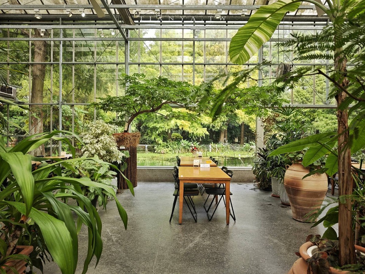 【菁芳園】隱身小巷裡的落羽松景觀餐廳，在溫室玻璃屋享用美味的手做健康料理