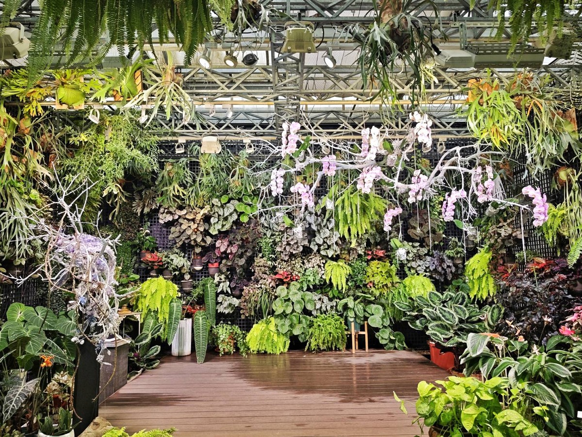 【菁芳園】隱身小巷裡的落羽松景觀餐廳，在溫室玻璃屋享用美味的手做健康料理