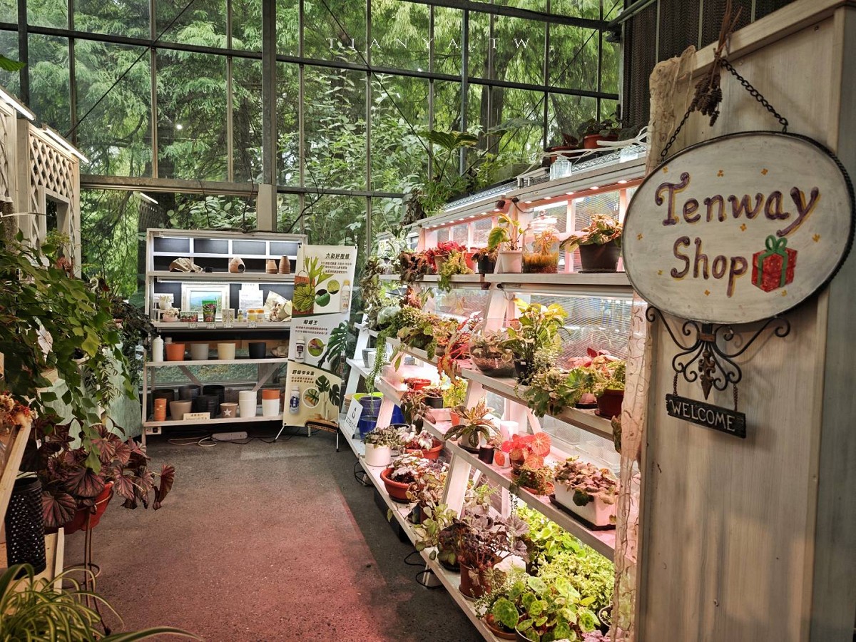 【菁芳園】隱身小巷裡的落羽松景觀餐廳，在溫室玻璃屋享用美味的手做健康料理